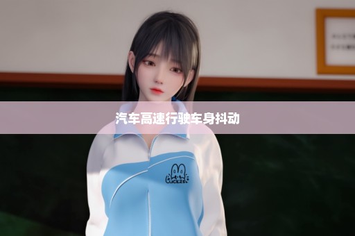 汽车高速行驶车身抖动