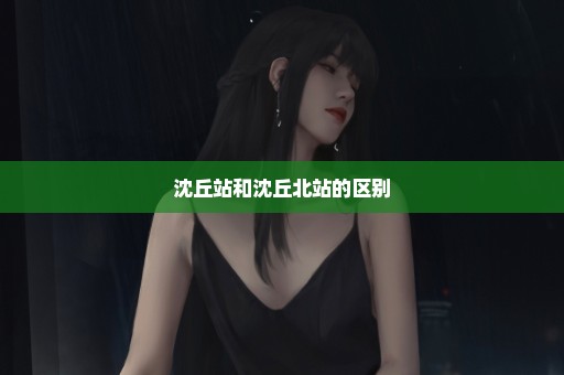 沈丘站和沈丘北站的区别