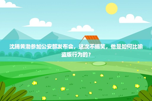 沈腾黄渤参加公安部发布会，这次不搞笑，他是如何比喻盗版行为的？