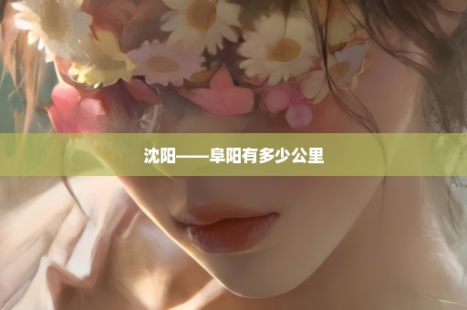 沈阳――阜阳有多少公里