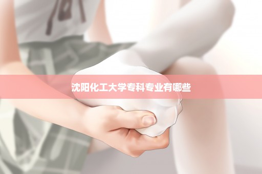 沈阳化工大学专科专业有哪些