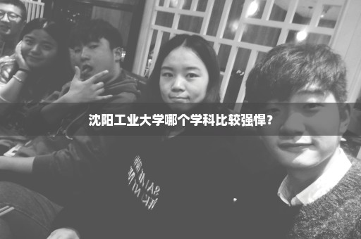 沈阳工业大学哪个学科比较强悍？