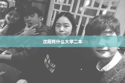 沈阳有什么大学二本