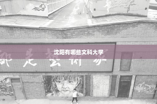 沈阳有哪些文科大学