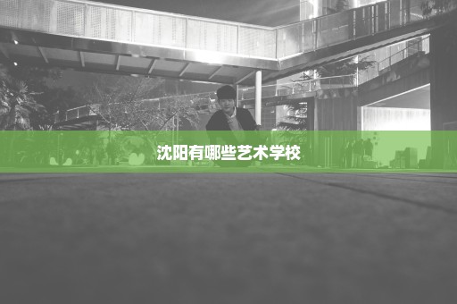 沈阳有哪些艺术学校
