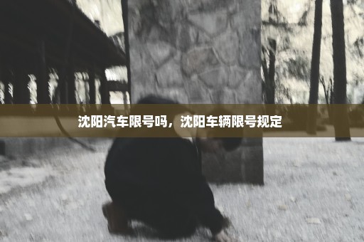 沈阳汽车限号吗，沈阳车辆限号规定 