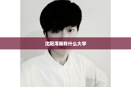 沈阳浑南有什么大学