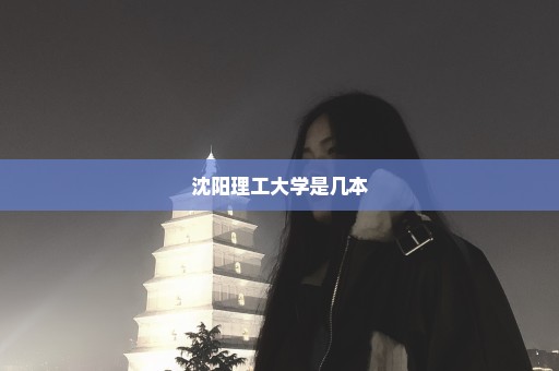 沈阳理工大学是几本