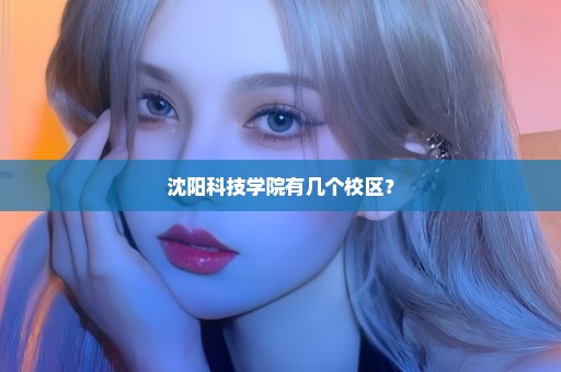 沈阳科技学院有几个校区？
