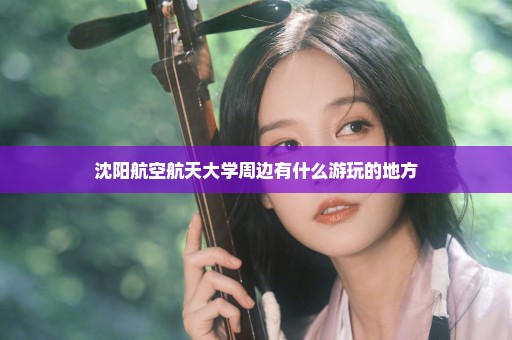 沈阳航空航天大学周边有什么游玩的地方