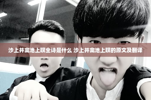 沙上并禽池上暝全诗是什么 沙上并禽池上暝的原文及翻译