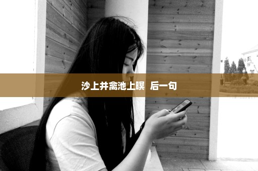 沙上并禽池上暝  后一句