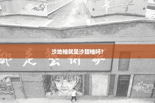 沙地柚就是沙甜柚吗？