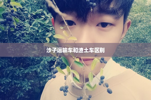 沙子运输车和渣土车区别