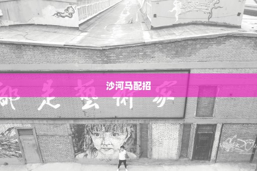 沙河马配招