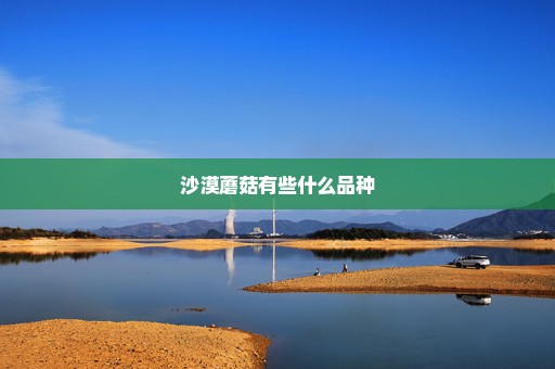 沙漠蘑菇有些什么品种