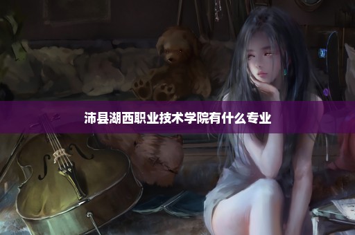 沛县湖西职业技术学院有什么专业