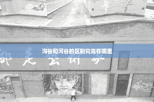 沟谷和河谷的区别究竟在哪里