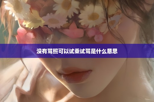 没有驾照可以试乘试驾是什么意思