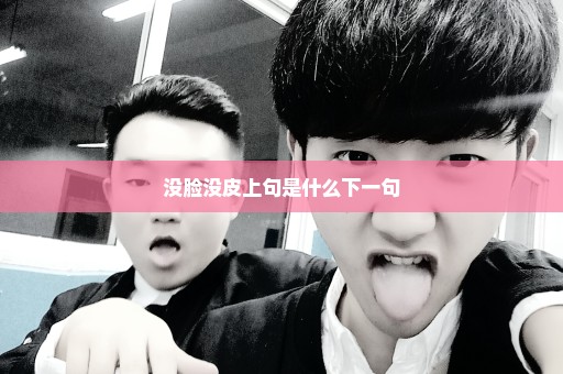 没脸没皮上句是什么下一句