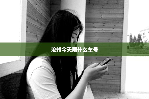 沧州今天限什么车号