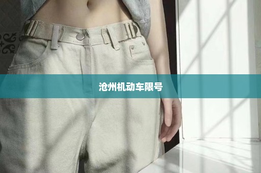 沧州机动车限号