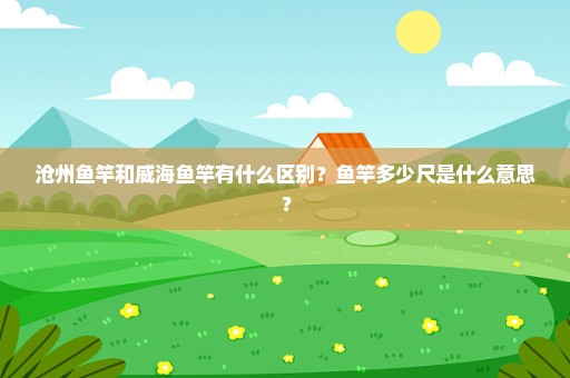 沧州鱼竿和威海鱼竿有什么区别？鱼竿多少尺是什么意思？