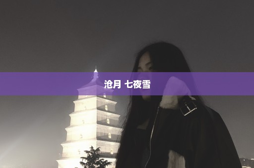沧月 七夜雪