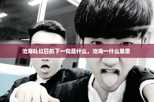 沧海吐红日的下一句是什么，沧海一什么意思 