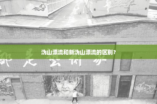 沩山漂流和新沩山漂流的区别？