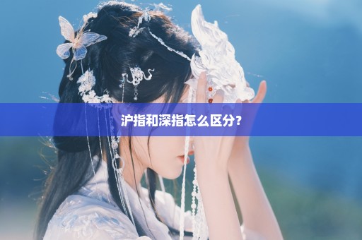 沪指和深指怎么区分？