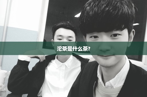 沱茶是什么茶?