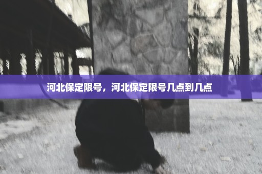 河北保定限号，河北保定限号几点到几点 