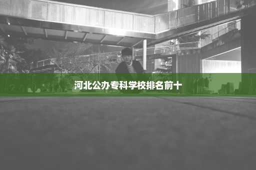 河北公办专科学校排名前十