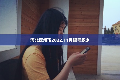 河北定州市2022.11月限号多少