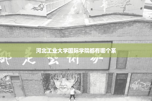 河北工业大学国际学院都有哪个系