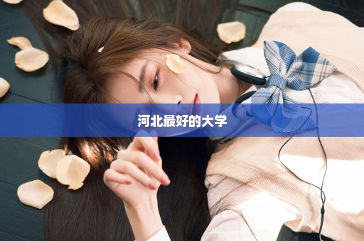 河北最好的大学