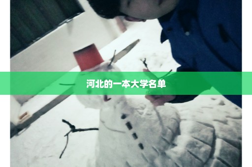 河北的一本大学名单