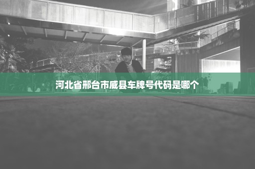 河北省邢台市威县车牌号代码是哪个