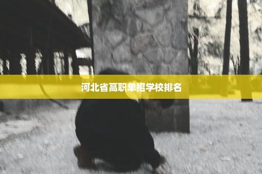 河北省高职单招学校排名