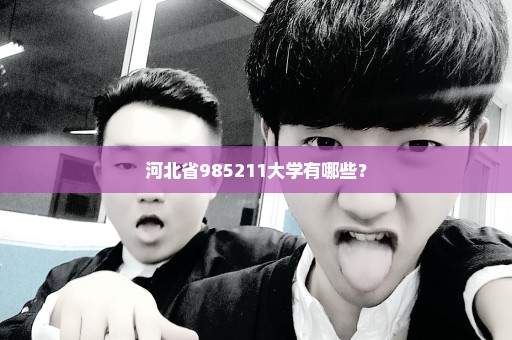 河北省985211大学有哪些？