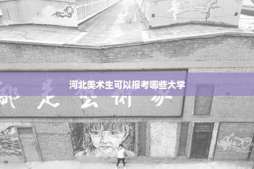 河北美术生可以报考哪些大学
