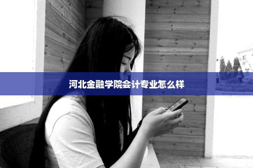 河北金融学院会计专业怎么样