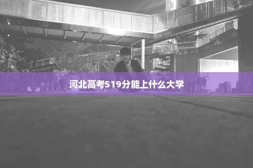 河北高考519分能上什么大学