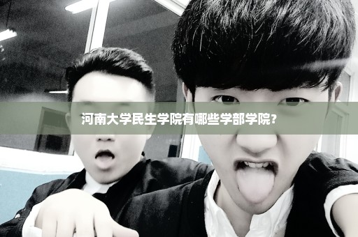 河南大学民生学院有哪些学部学院？