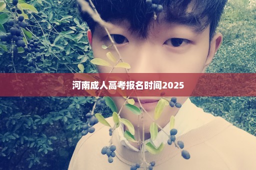河南成人高考报名时间2025
