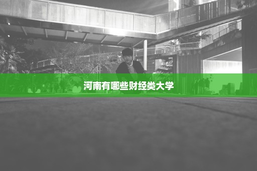 河南有哪些财经类大学