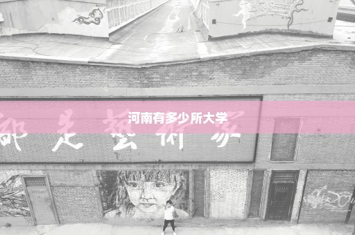 河南有多少所大学