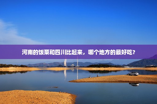 河南的饭菜和四川比起来，哪个地方的最好吃？