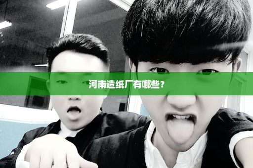 河南造纸厂有哪些？